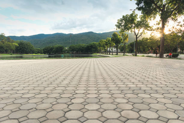 Best Residential Paver Driveway  in Buxton, NC