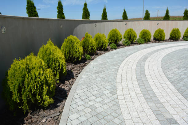 Best Brick Driveway Pavers  in Buxton, NC